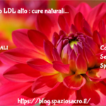 Colesterolo LDL alto : cure naturali 3 Colesterolo Ldl Alto : Cure Naturali