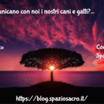Come Comunicano Con Noi I Nostri Cani E Gatti?