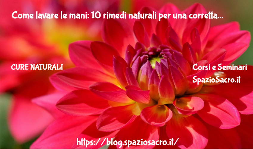 Come Lavare Le Mani: 10 Rimedi Naturali Per Una Corretta Pulizia