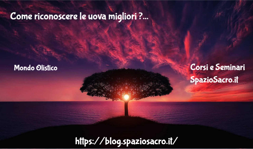Come Riconoscere Le Uova Migliori ?