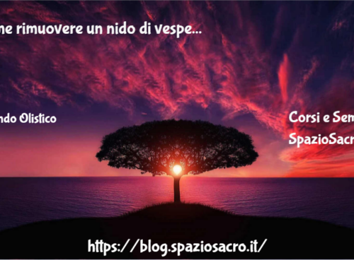 Come rimuovere un nido di vespe 89 Come Rimuovere Un Nido Di Vespe
