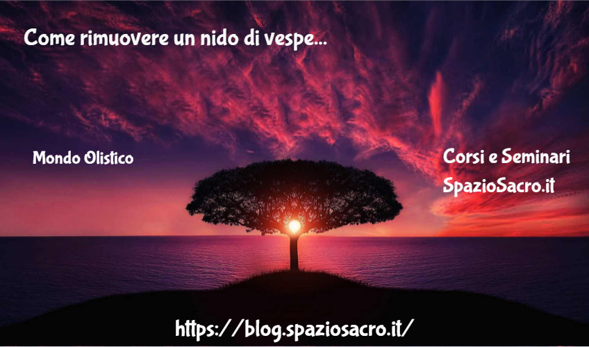 Come Rimuovere Un Nido Di Vespe