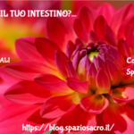 Come Va Il Tuo Intestino?