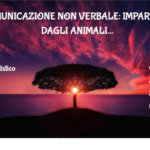 Comunicazione non verbale: impariamo dagli animali 3 Comunicazione Non Verbale: Impariamo Dagli Animali