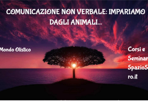 Comunicazione Non Verbale: Impariamo Dagli Animali