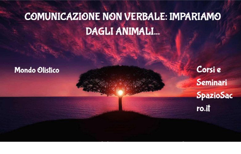 Comunicazione non verbale: impariamo dagli animali 1 Comunicazione Non Verbale: Impariamo Dagli Animali