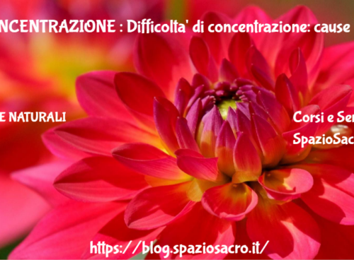 CONCENTRAZIONE : Difficolta' di concentrazione: cause e rimedi naturali 67 Concentrazione : Difficolta' Di Concentrazione: Cause E Rimedi Naturali