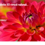 Congiuntivite: 10 Rimedi Naturali