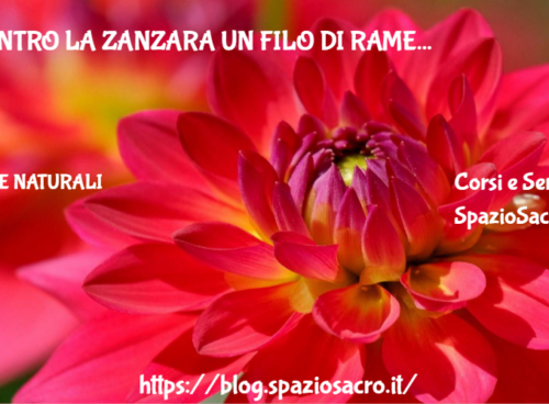Contro La Zanzara Un Filo Di Rame