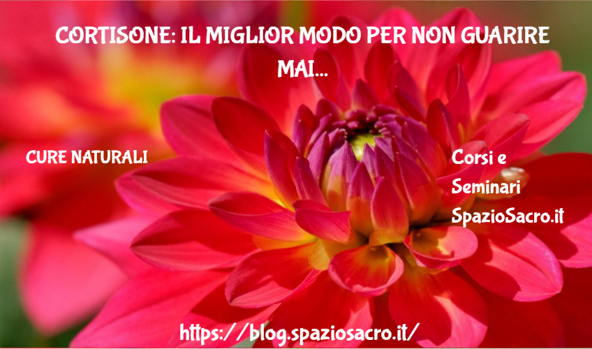 Cortisone: il miglior modo per non guarire mai 1 Cortisone: Il Miglior Modo Per Non Guarire Mai