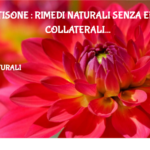 Cortisone : rimedi naturali senza effetti collaterali 2 Cortisone : Rimedi Naturali Senza Effetti Collaterali