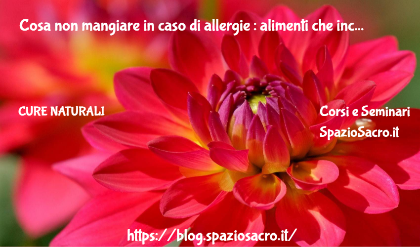 Cosa non mangiare in caso di allergie : alimenti che incrociano 1 Cosa Non Mangiare In Caso Di Allergie : Alimenti Che Incrociano