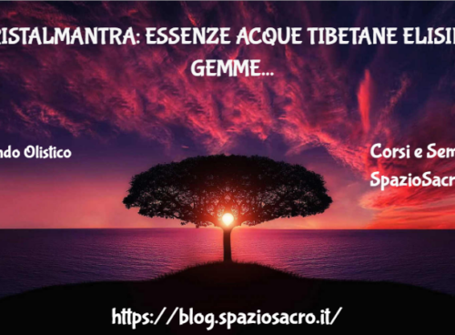 Cristalmantra: Essenze Acque Tibetane Elisir Di Gemme