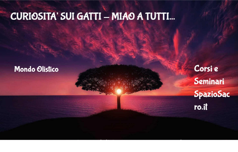 Curiosita' Sui Gatti Miao A Tutti