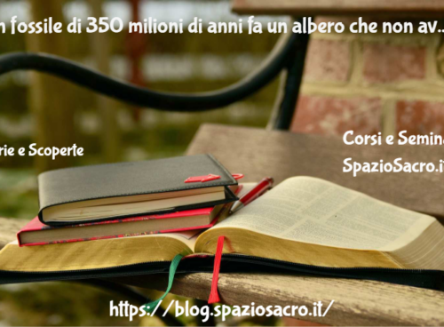 Da Un Fossile Di 350 Milioni Di Anni Fa Un Albero Che Non Avete Mai Visto