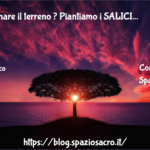 Decontaminare Il Terreno ? Piantiamo I Salici