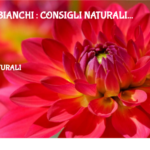 Denti Bianchi : Consigli Naturali