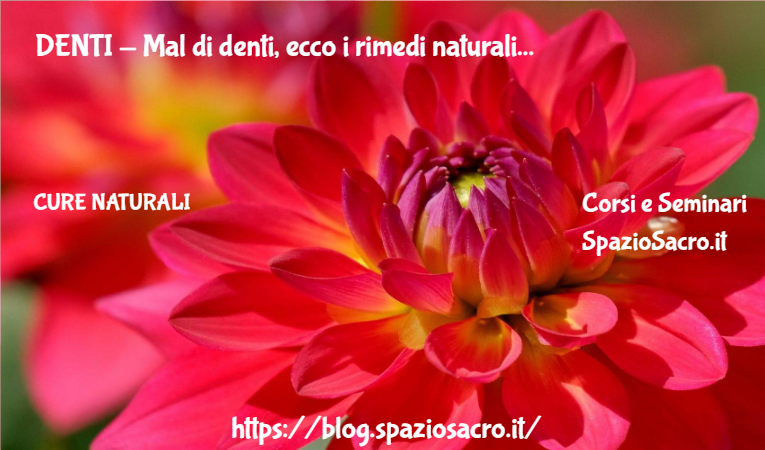 Denti Mal Di Denti, Ecco I Rimedi Naturali