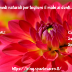 Denti : Rimedi Naturali Per Togliere Il Male Ai Denti