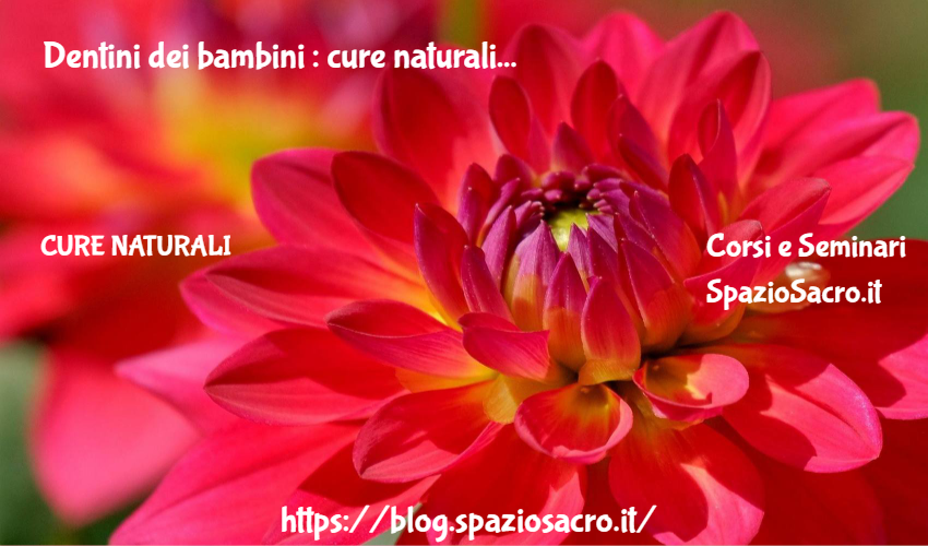 Dentini dei bambini : cure naturali 1 Dentini Dei Bambini : Cure Naturali