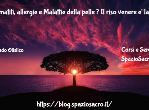 Dermatiti, allergie e Malattie della pelle ? Il riso venere e' la tua soluzione 35 Dermatiti, Allergie E Malattie Della Pelle ? Il Riso Venere E' La Tua Soluzione