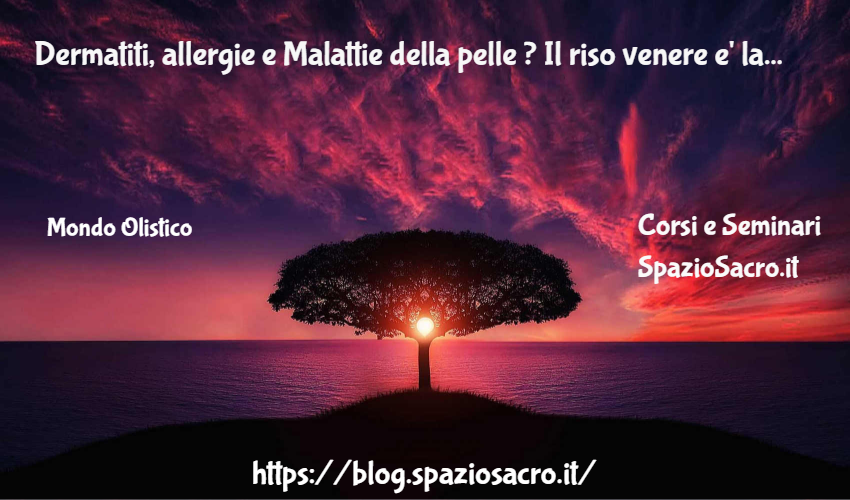 Dermatiti, Allergie E Malattie Della Pelle ? Il Riso Venere E' La Tua Soluzione