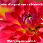 Detergente Intimo All'acqua Di Mare E Al Lichene D'islanda