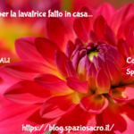 Detersivo Per La Lavatrice Fatto In Casa