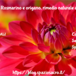 Diabete : Rosmarino E Origano, Rimedio Naturale Al Diabete