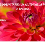 Difese Immunitarie : Un Aiuto Dalla Polvere Di Baobab