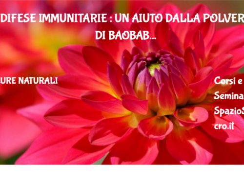 Difese immunitarie : un aiuto dalla polvere di baobab 88 Difese Immunitarie : Un Aiuto Dalla Polvere Di Baobab