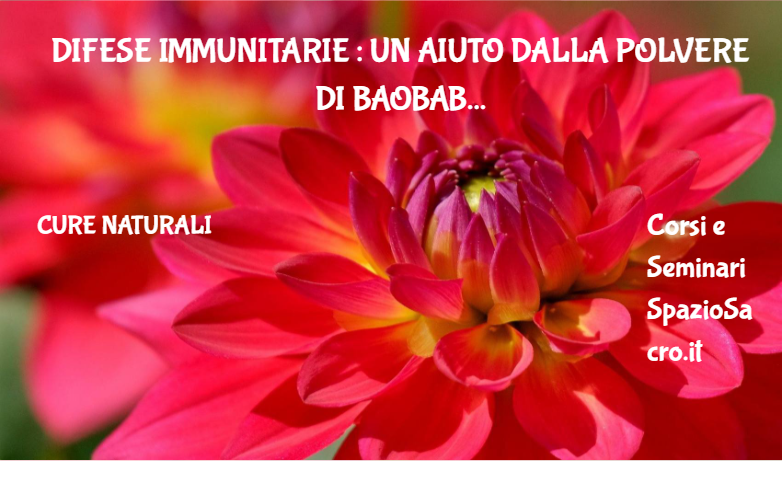 Difese Immunitarie : Un Aiuto Dalla Polvere Di Baobab