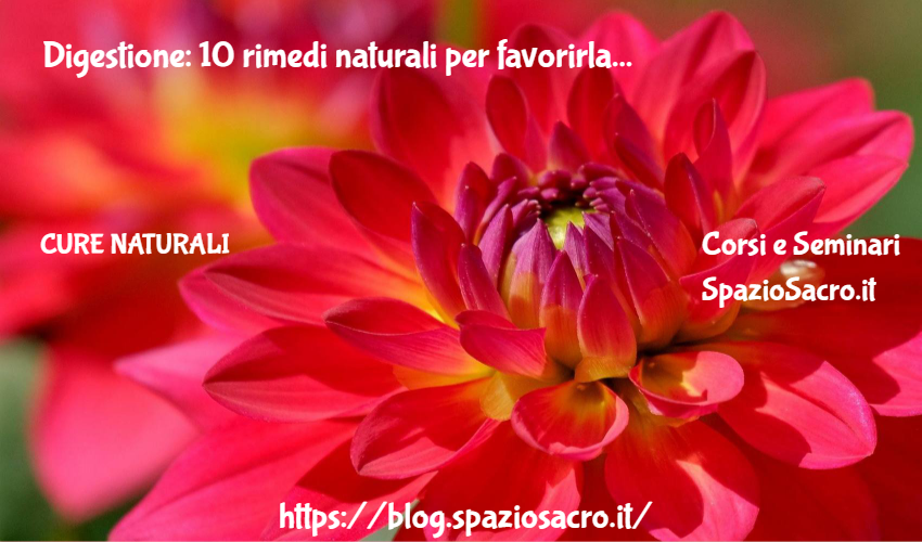 Digestione: 10 rimedi naturali per favorirla 1 Digestione: 10 Rimedi Naturali Per Favorirla