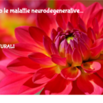 Dilagano Le Malattie Neurodegenerative