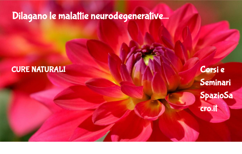 Dilagano Le Malattie Neurodegenerative
