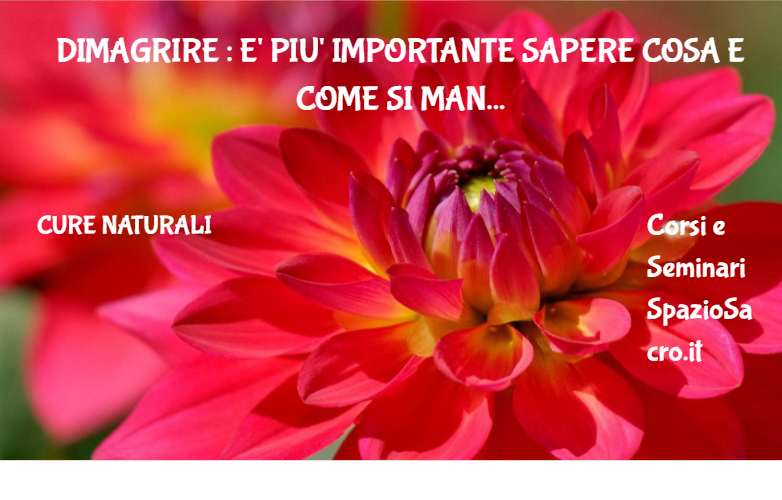 Dimagrire : E' Piu' Importante Sapere Cosa E Come Si Mangia Della Dieta