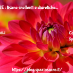Dimagrire : Tisane Snellenti E Diuretiche