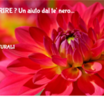 DIMAGRIRE ? Un aiuto dal te' nero 3 Dimagrire ? Un Aiuto Dal Te' Nero