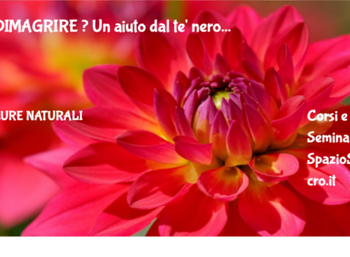 Dimagrire ? Un Aiuto Dal Te' Nero