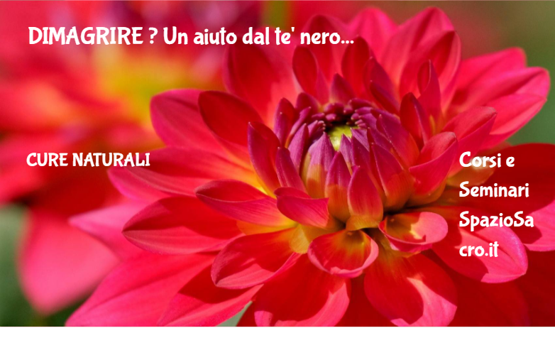 Dimagrire ? Un Aiuto Dal Te' Nero