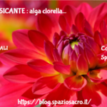 DISINTOSSICANTE : alga clorella 3 Disintossicante : Alga Clorella