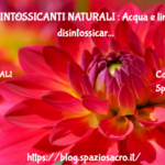 Disintossicanti Naturali : Acqua E Limone: Disintossicarsi E Remineralizzarsi In Maniera Naturale