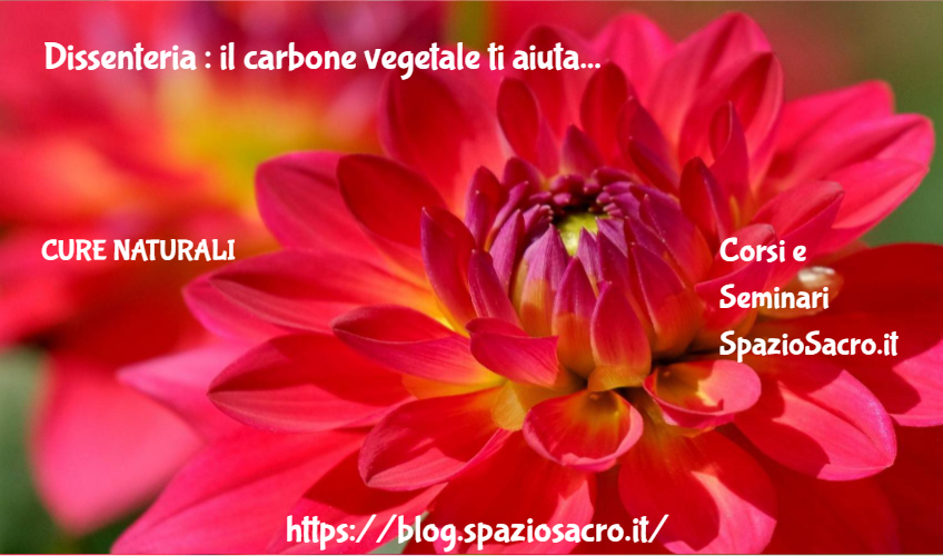 Dissenteria : il carbone vegetale ti aiuta 1 Dissenteria : Il Carbone Vegetale Ti Aiuta