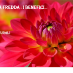 Doccia fredda : i benefici 2 Doccia Fredda : I Benefici