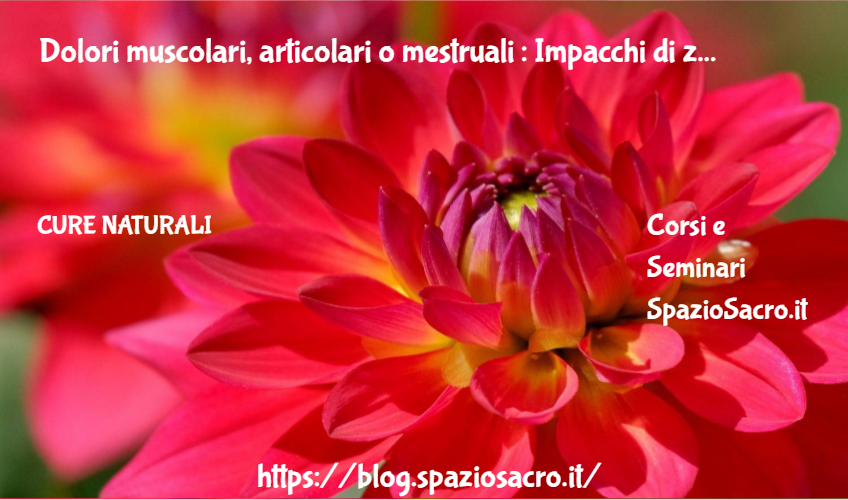 Dolori muscolari, articolari o mestruali : Impacchi di zenzero 1 Dolori Muscolari, Articolari O Mestruali : Impacchi Di Zenzero