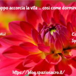 Dormire Troppo Accorcia La Vita ... Così Come Dormire Poco !