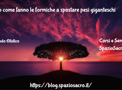 Ecco come fanno le formiche a spostare pesi giganteschi 54 Ecco Come Fanno Le Formiche A Spostare Pesi Giganteschi