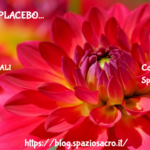 Effetto placebo 3 Effetto Placebo