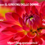 Eleuterococco :IL GINSENG DELLE DONNE 2 Eleuterococco :il Ginseng Delle Donne