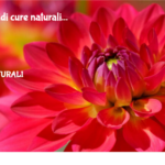 Emorroidi Cure Naturali